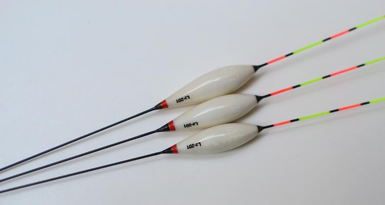 钓鱼技巧（掌握关键诀窍，提高钓鱼效果）  第3张