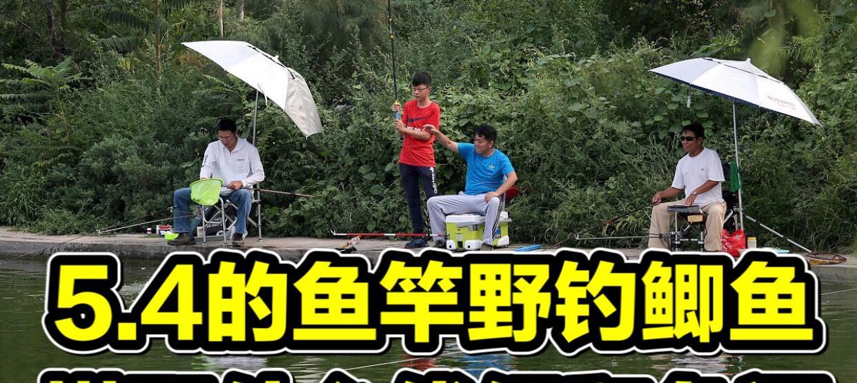 钓鱼技巧与线组搭配的完美契合（提升钓鱼成功率的关键策略）  第1张