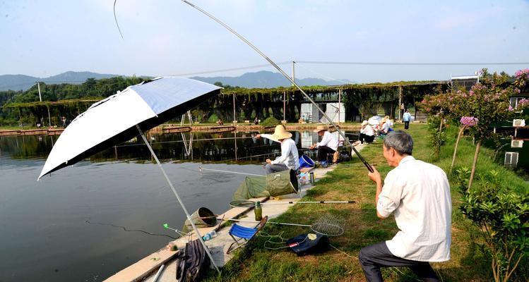 钓鱼技巧学习指南（掌握关键技巧，成为钓鱼高手）  第3张