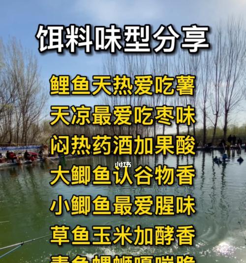 钓鱼技巧之饵料的选择（提高钓鱼成功率的关键）  第3张