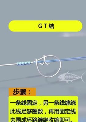 钓鱼新手必备指南  第3张