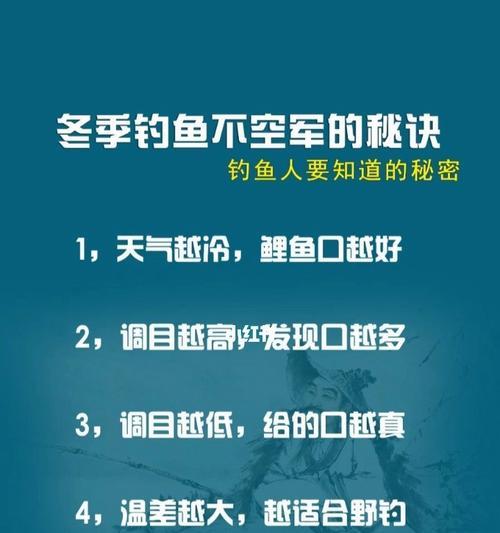 钓鱼技巧大全（分享钓鱼技巧，让你成为高手！）  第3张