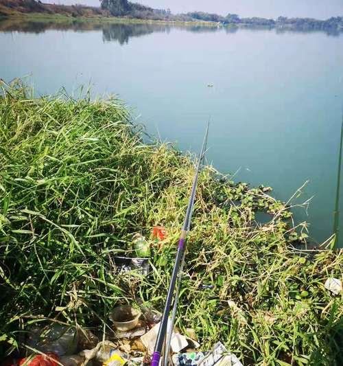 钓鱼技巧走水的要点（提高钓鱼技巧，享受走水乐趣）  第3张