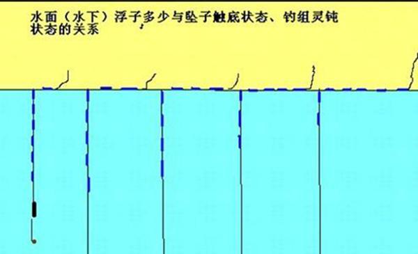 钓鱼技巧（掌握关键技巧，提高钓鱼效果）  第3张