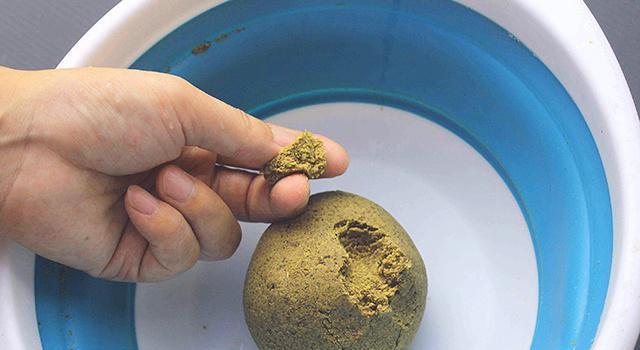 钓鱼技巧大揭秘（简单实用的开饵技巧助你轻松钓鱼）  第2张