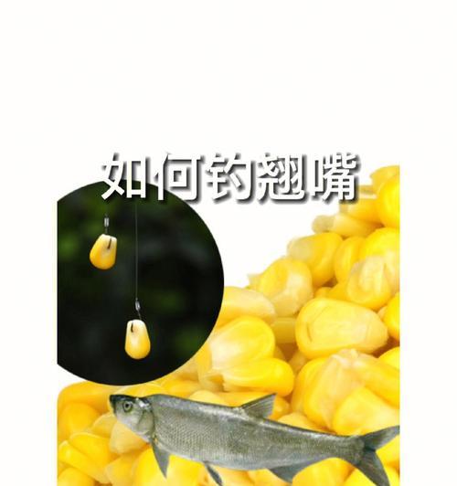 钓鱼开饵小技巧（掌握这些技巧，让你的钓鱼之旅更加精彩）  第3张