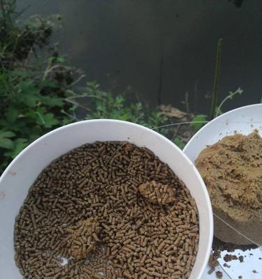 钓鱼开散炮饵的简单技巧（钓鱼炮饵散发诀窍，助你大获全胜）  第3张