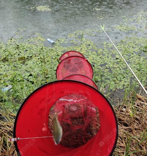 掌握钓鱼抬杆技巧，成为高手！（钓鱼抬杆技巧法解析，轻松钓上大鱼！）  第1张