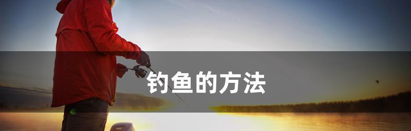 钓鱼技巧大揭秘（提竿技巧防绕线调漂方法一网打尽）  第3张