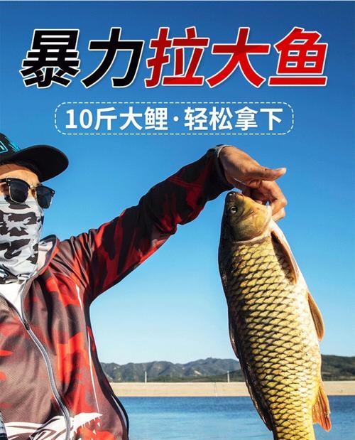钓鱼提鱼竿技巧大揭秘（提升钓鱼成功率，必备技巧全解析）  第3张