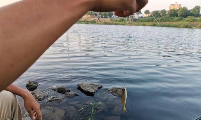 钓鱼艇风浪中行驶技巧与方法（应对恶劣天气下钓鱼艇行驶的实用技巧与安全注意事项）  第1张