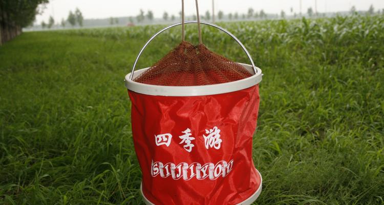 掌握钓鱼桶的使用技巧（提升钓鱼效果，轻松捕获大鱼）  第3张