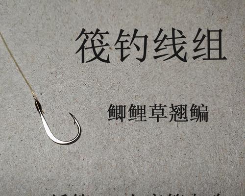 钓鱼小辫绑线技巧（掌握钓鱼小辫绑线技巧，提升钓鱼效果）  第3张