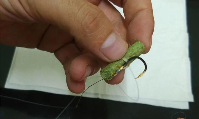 钓鱼小技巧（提升钓鱼成功率的关键技巧）  第1张