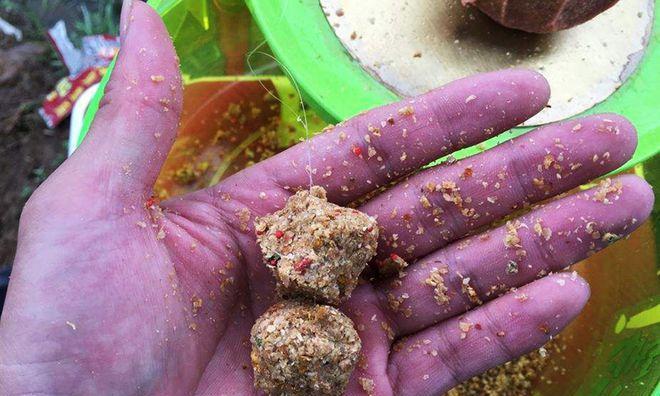 钓鱼小技巧（提升钓鱼成功率的关键技巧）  第3张