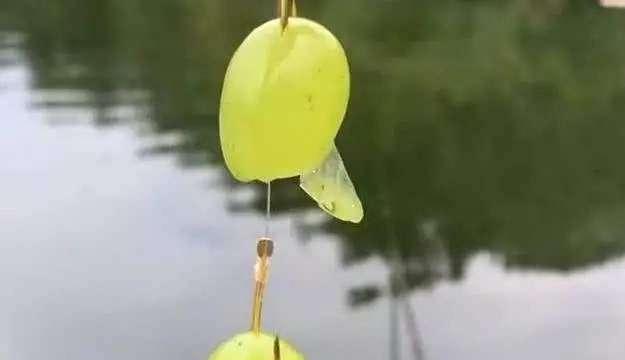 钓鱼小技巧（提高挂钩技巧，让钓鱼更加顺利）  第2张