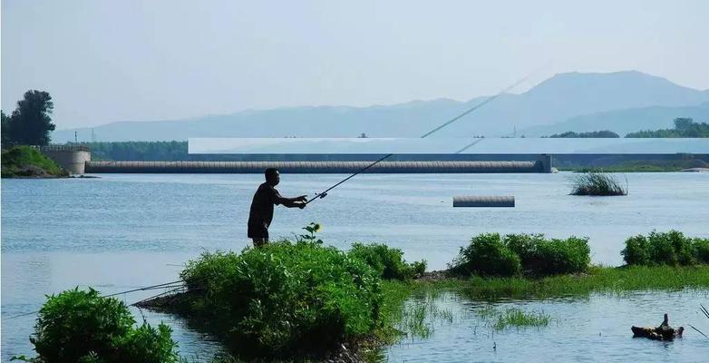 钓鱼小技巧（掌握钓鱼技巧，提升钓鱼成功率）  第1张