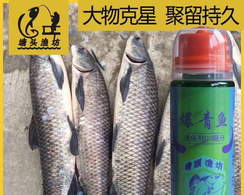 钓鱼小药调味技巧（提升钓鱼效果的秘密武器）  第3张
