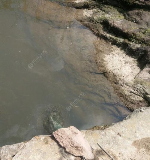 东北地区清明节钓鱼技巧（挖坑、选饵、钓点选择，让你轻松钓到丰收）  第1张