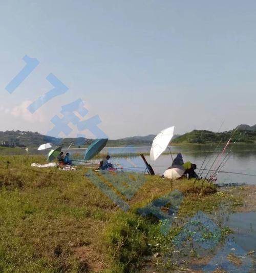 东北地区清明节钓鱼技巧（挖坑、选饵、钓点选择，让你轻松钓到丰收）  第3张