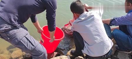东江农人钓鱼技巧（掌握技巧，享受丰收）  第2张