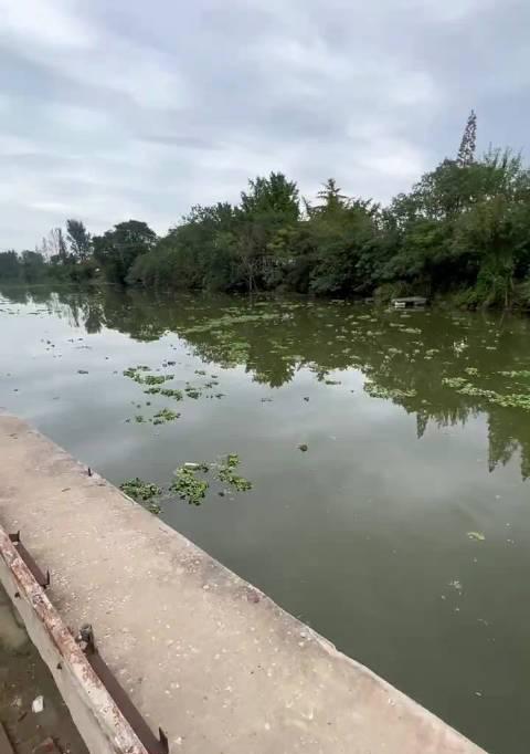 东江桥墩钓鱼技巧（掌握好这些技巧，提高钓鱼成功率！）  第3张