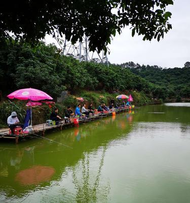 东江下游钓鱼技巧大揭秘（钓鱼达人分享东江下游的实用技巧与经验）  第3张