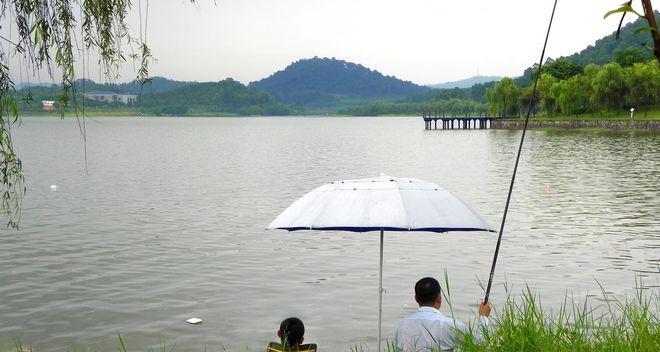 东荆河黄陵闸钓鱼技巧大全（掌握黄陵闸钓鱼的技巧，轻松丰收）  第2张