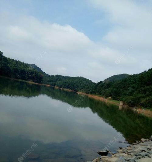 钓鱼高手的必备技巧——东溪水库钓鱼攻略（深入探索，成为钓鱼达人）  第3张