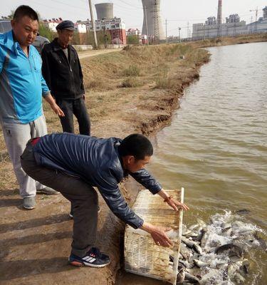 东营海边钓鱼方法与技巧（掌握关键技巧，畅享海边钓鱼乐趣）  第2张