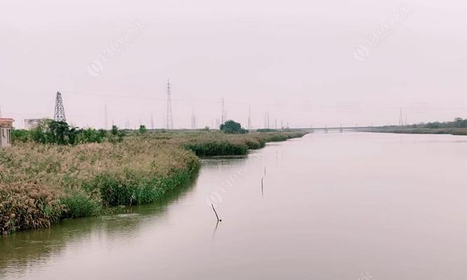 东营海边钓鱼方法与技巧（掌握关键技巧，畅享海边钓鱼乐趣）  第3张