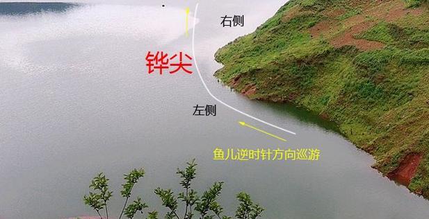 东营秋季水库钓鱼技巧（掌握关键，享受丰收）  第1张