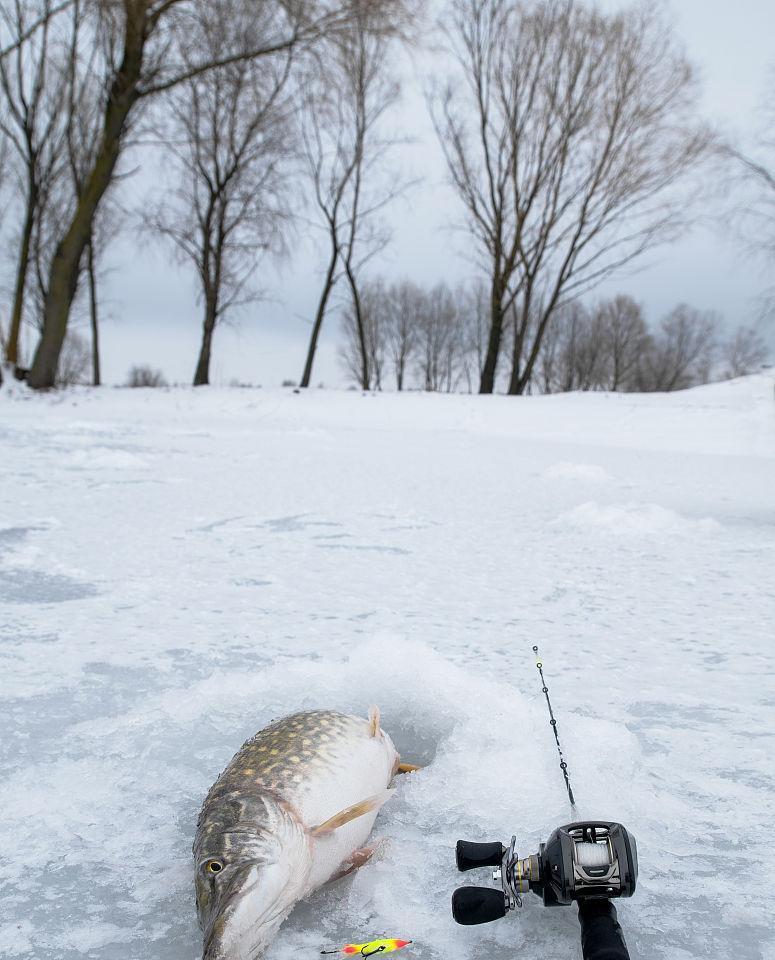 冬日钓鱼之开冰洞技巧（掌握冰钓技巧，寒冬也能垂钓美味）  第3张