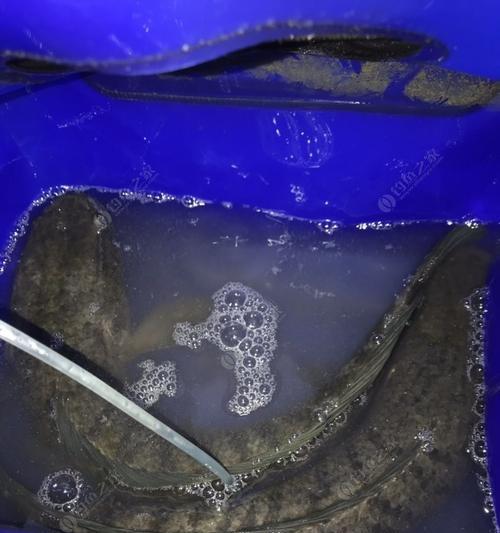 寒冬北方夜钓的技巧和方法（解锁北方夜钓的秘密，让寒冬钓鱼更有成就感）  第3张