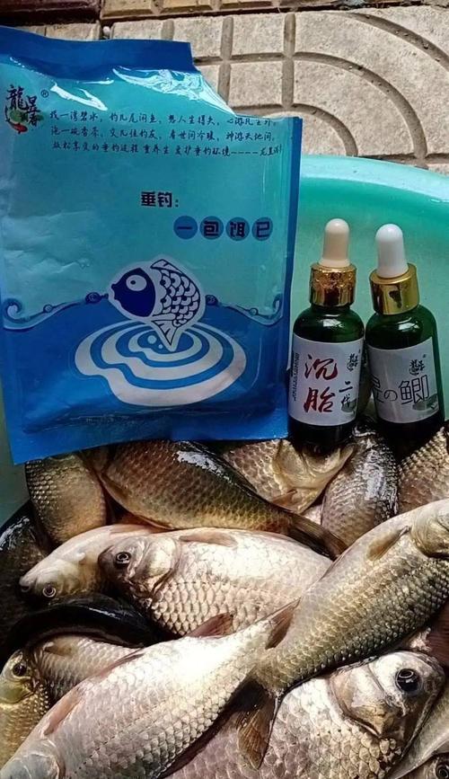 寒冬变温天钓鱼技巧（掌握关键，钓到满满的收获）  第1张