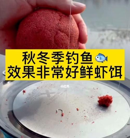冬天钓鱼技巧教程（寒冬钓鱼）  第3张