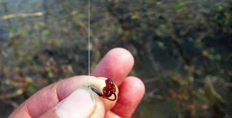 冬天钓鱼窝料搭配技巧（钓鱼窝料选择及搭配关键技巧）  第3张
