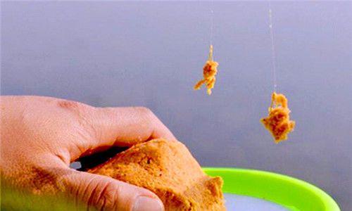 冬天钓鱼的方法和技巧（挑选合适的鱼饵）  第2张