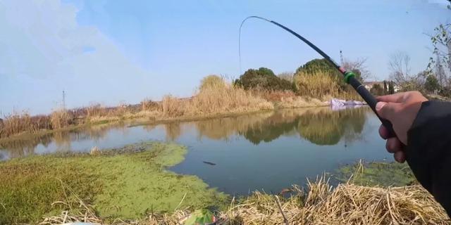 冬天钓鱼的技巧（低温下钓鱼的秘诀）  第3张