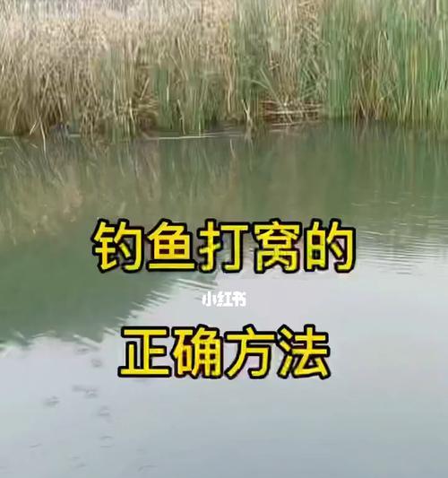冬天野钓打窝的方法和技巧（享受寒冬钓鱼乐趣的秘诀与技巧）  第2张