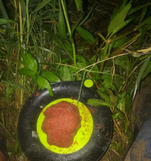 冬夜鲫钓技巧（寒冬夜钓）  第3张