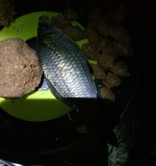 冬季夜钓鲫鱼技巧（冬天也能轻松钓到鱼）  第3张