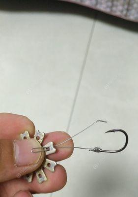 翻板钩钓鱼技巧与饵选指南（钓鱼新手必备的实用技巧与经验分享）  第2张