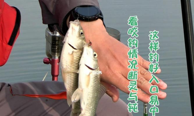 反光漂钓鱼技巧大揭秘（绝密教学）  第2张