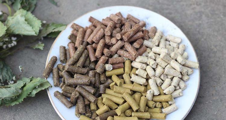 掌握方块饲料钓鱼的技巧（提高钓鱼成功率的方法和策略）  第1张
