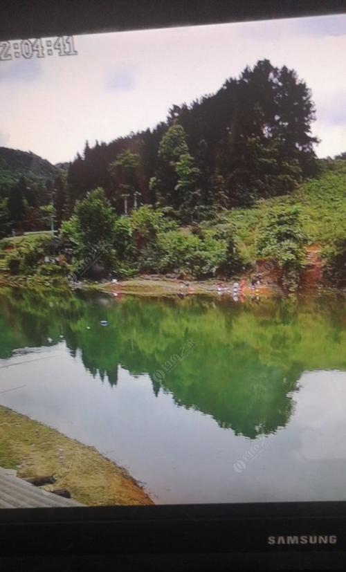 放养鱼塘钓鱼技巧（室外放养鱼塘的5个关键技巧）  第3张
