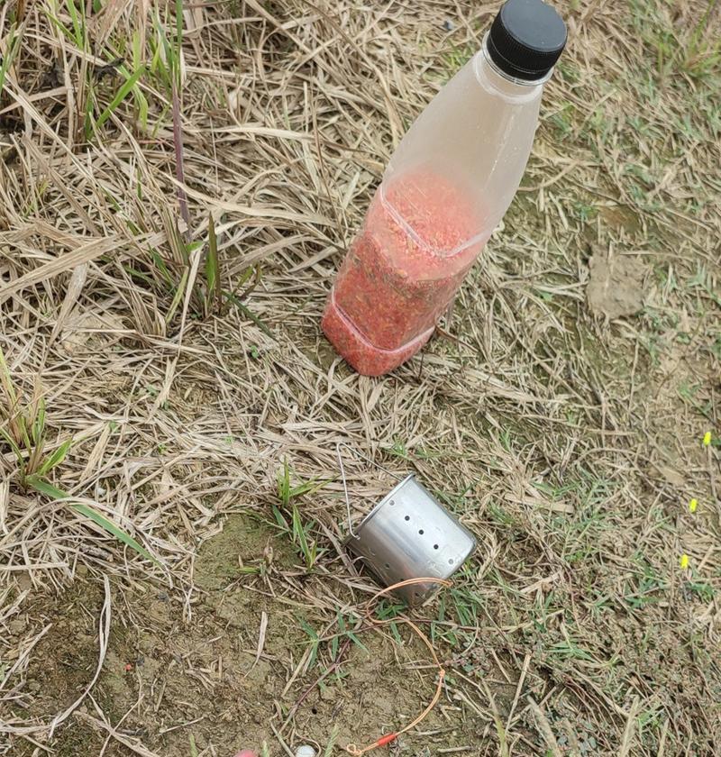 野外垂钓打窝实用技巧（打窝技巧分享）  第2张