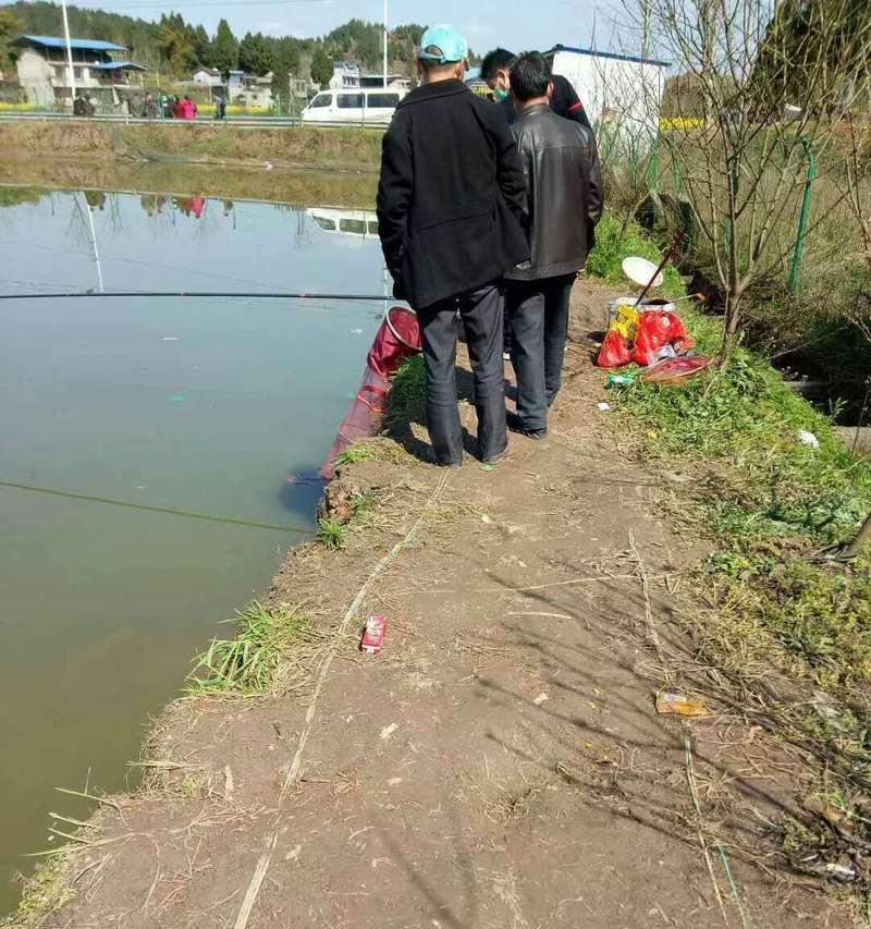 高压线钓鱼的方法和技巧（掌握关键技巧）  第1张