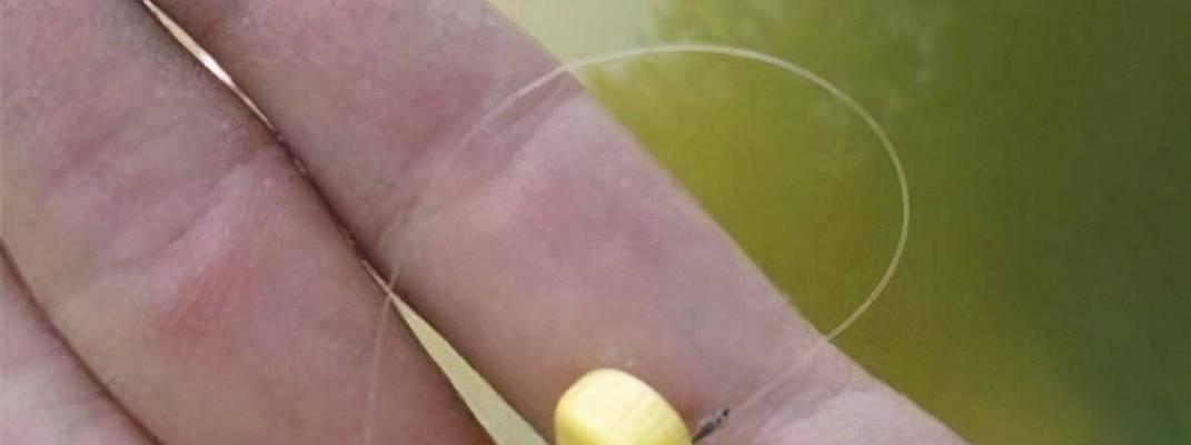 钓鱼小技巧（用1个学会快速钓鱼技巧）  第1张
