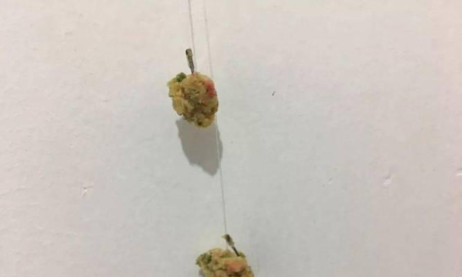 钓鱼技巧与方法大全（从鱼钩的选择到技巧实践）  第1张
